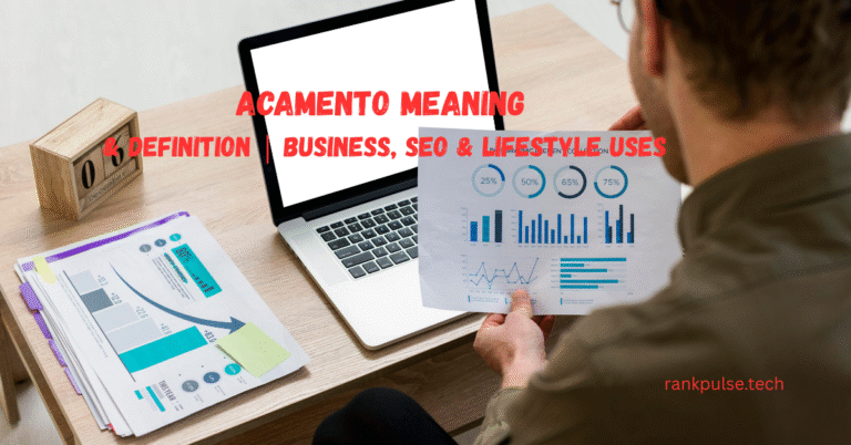 Acamento Meaning & Definition | Business, SEO & Lifestyle Uses