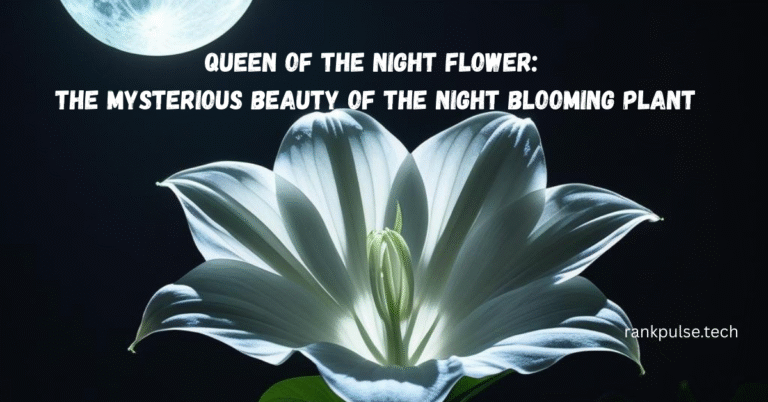 Queen of the Night Flower